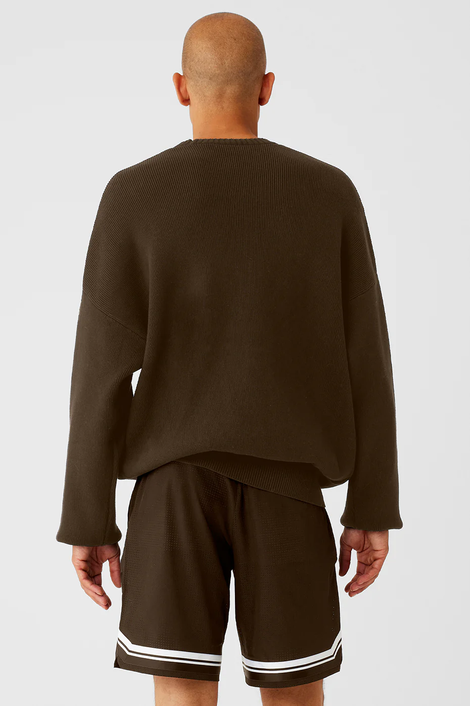 Alo Yoga Scholar Crew Neck Sweater – Espresso online